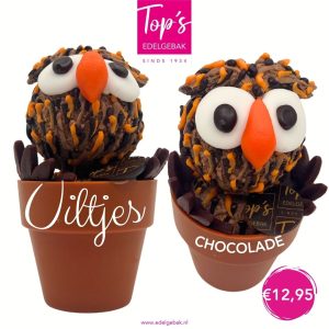 Chocolade Uiltjes uit eigen chocolaterue van topssecret ijs van topsedelgebak bilthoven, soest en zeist